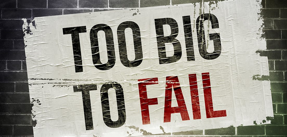 VIND Omgevingszaken Omgevingswet Too big to fail