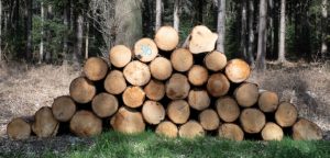 biomassa geen vergunning nodig