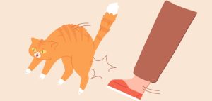 Dierenmishandeling
