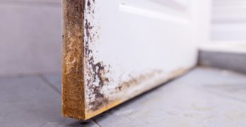 Schimmel woning
